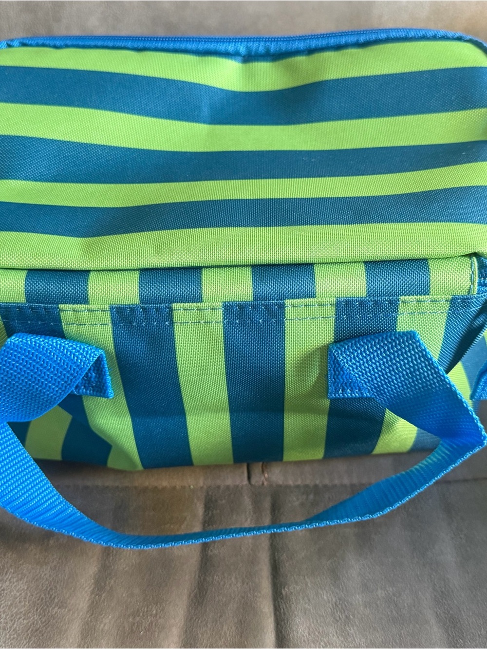 Trader Joe's Green & Blue Striped Insulated Lunch Bag - Picture 2 of 4